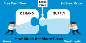 How Much the Share Costs